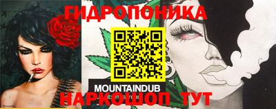 гашик Можга