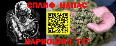 гашик Можга