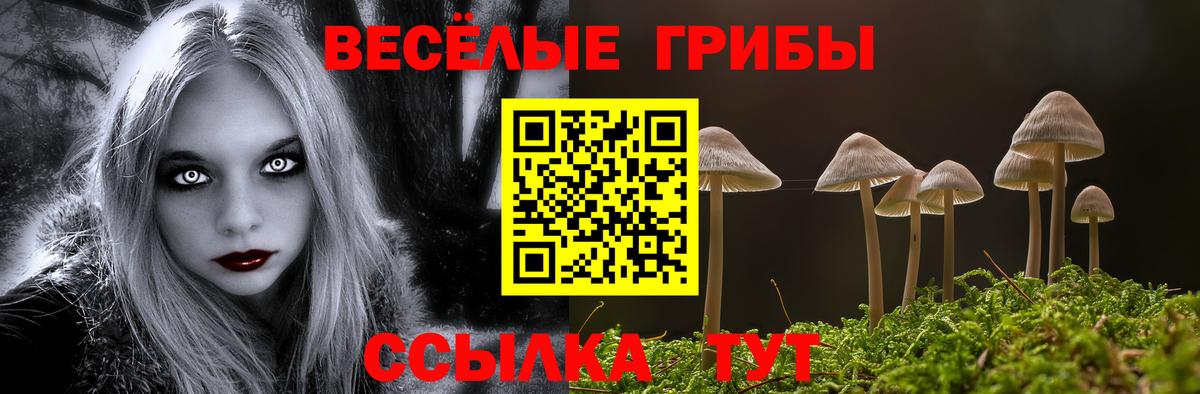 Псилоцибиновые грибы прущие грибы Электрогорск