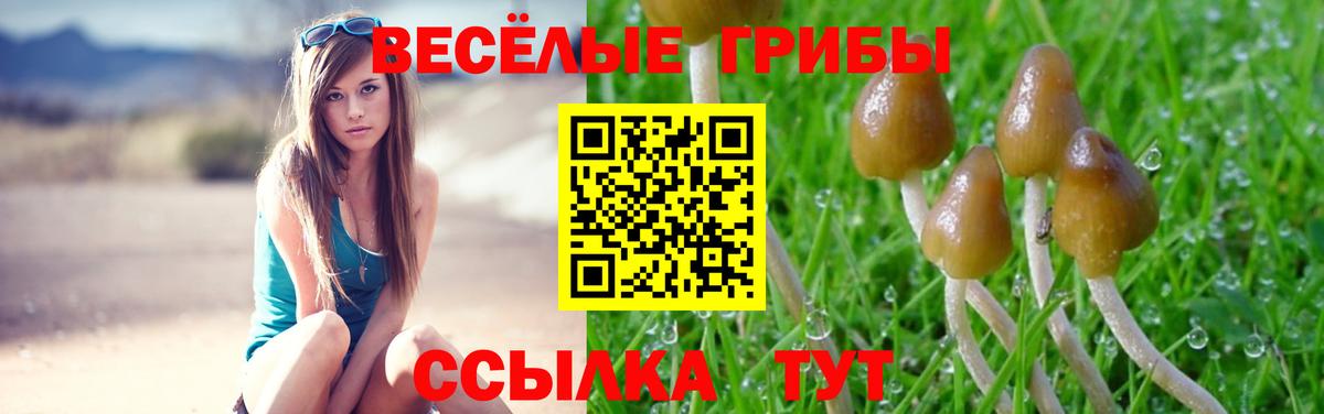 Псилоцибиновые грибы Psilocybe  Вход с VPN  купить закладку  Электрогорск  Псилоцибиновые грибы мухоморы 